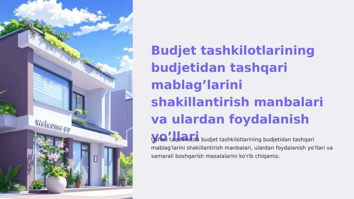 Budjet tashkilotlarining budjetidan tashqari mablag’larini shakillantirish manbalari va ulardan foydalanish yo’llari
