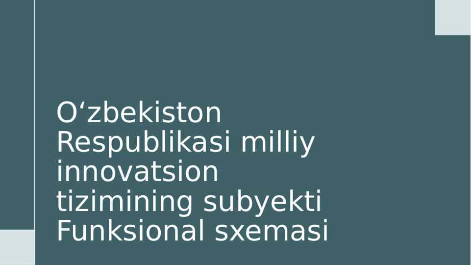 Oʻzbekiston Respublikasi milliy innovatsion tizimining subyekti Funksional sxemasi