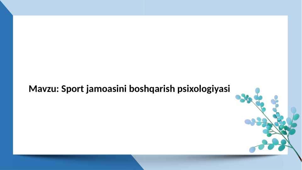 Sport jamoasini boshqarish psixologiyasi
