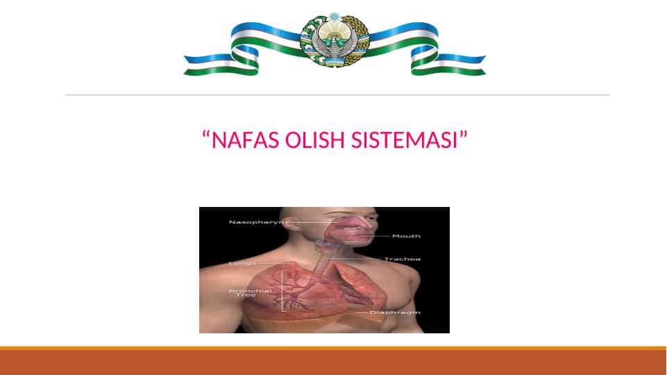 NAFAS OLISH SISTEMASI