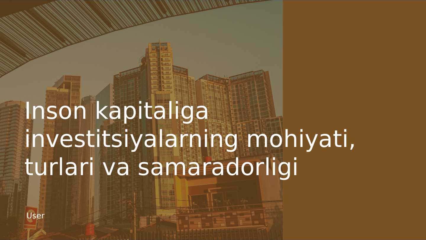 Inson kapitaliga investitsiyalarning mohiyati, turlari va samaradorligi