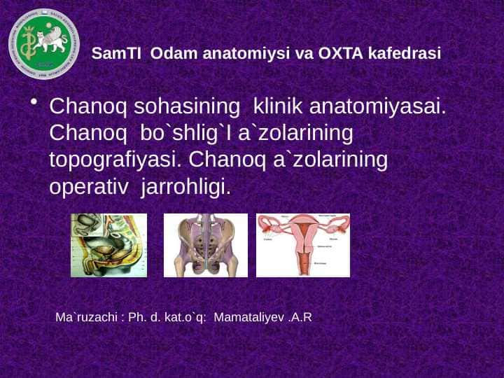 Chanoq sohasi klinik anatomiyasi . Chanoq boshlig`i azolarining topografiyasi . Chanoq azolarining operativ jarrohligi