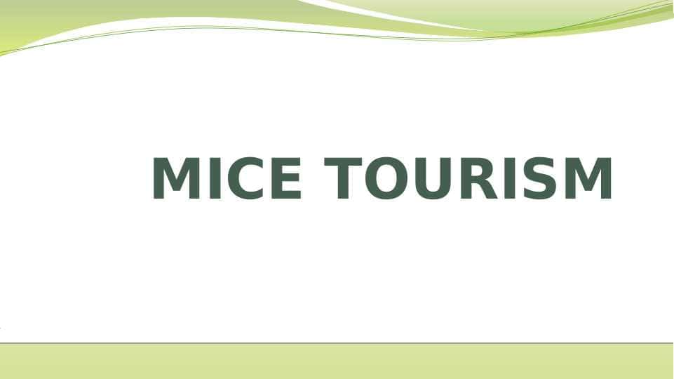 MICE TOURISM