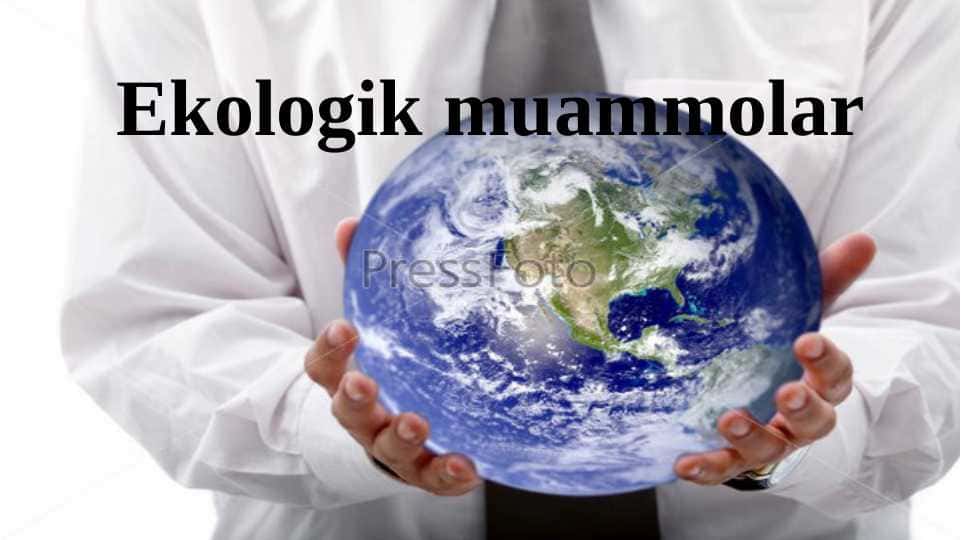 Ekologik muammolar