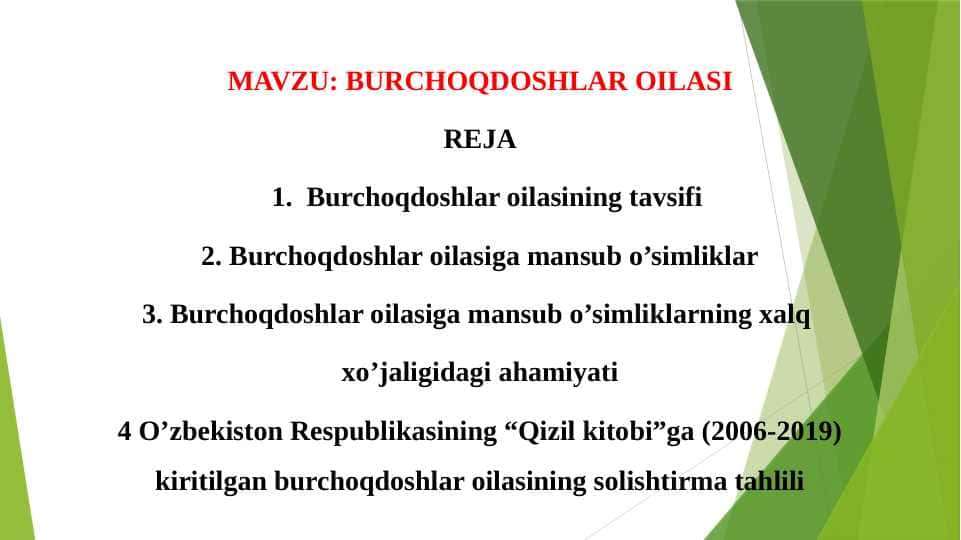 BURCHOQDOSHLAR OILASI