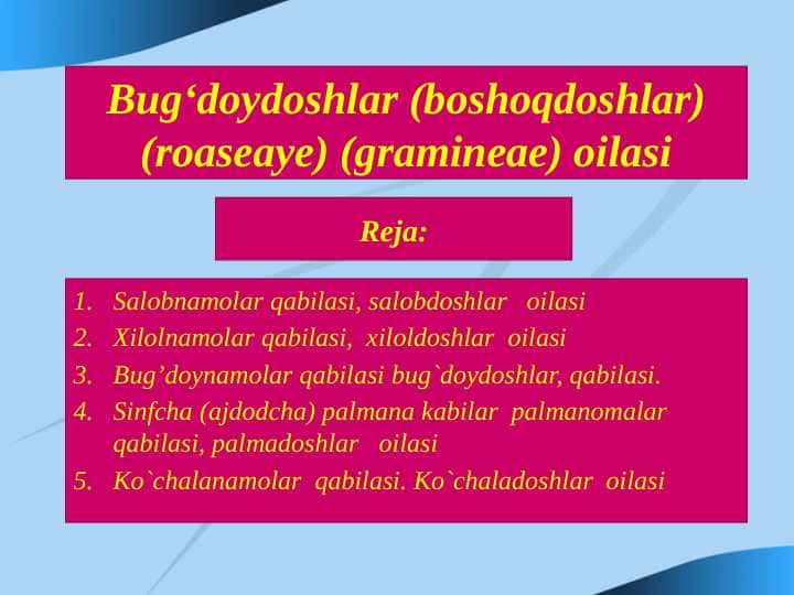 Bug‘doydoshlar (boshoqdoshlar) oilasi