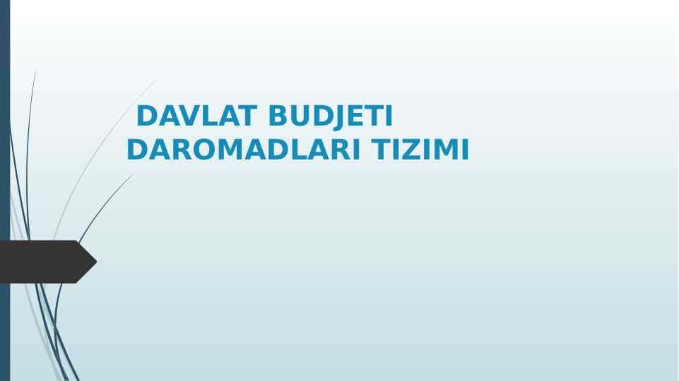 DAVLAT BUDJETI DAROMADLARI TIZIMI