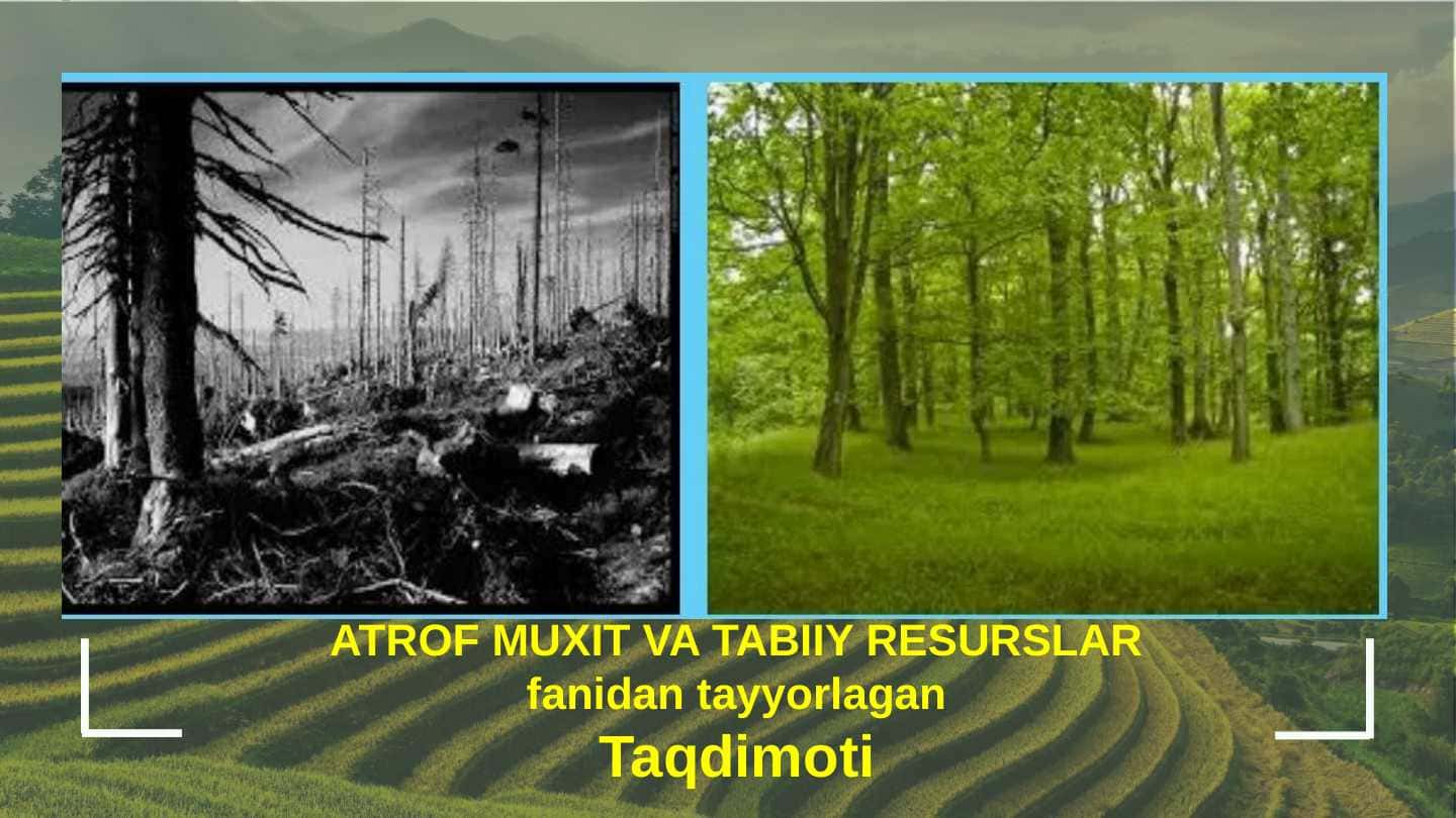 ATROF MUXIT VA TABIIY RESURSLAR