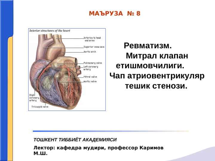 Revmatizm . Mitral klapan yetishmovchilgi . Chap artrioventrikulyar teshik stenozi