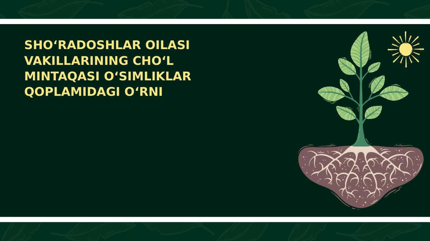 Sho‘radoshlar oilasi vakillarining cho‘l mintaqasi o‘simliklari qoplamidagi o‘rni