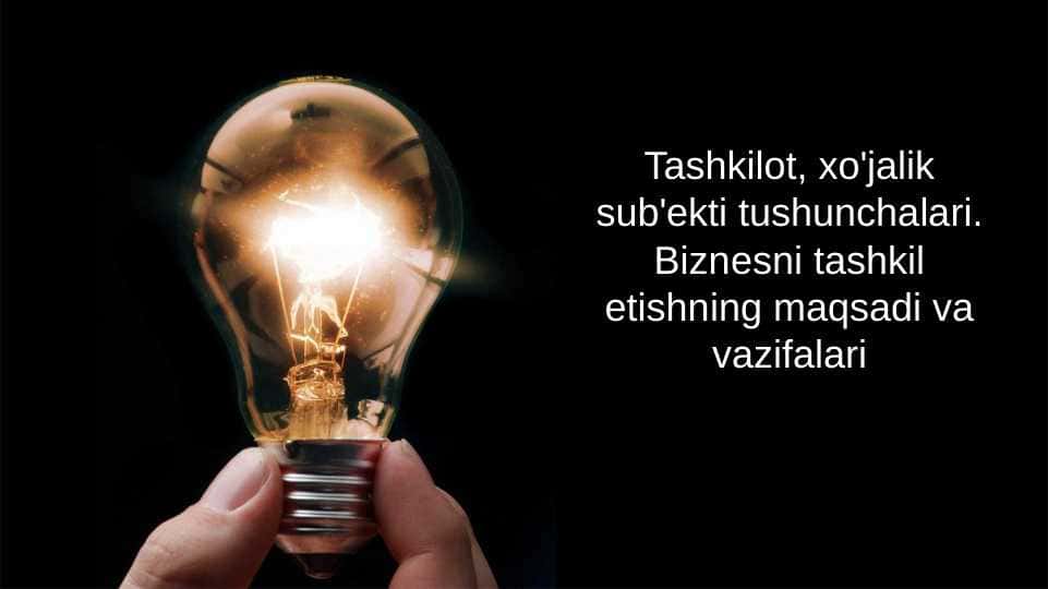 Tashkilot, xo'jalik sub'ekti tushunchalari. Biznesni tashkil etishning maqsadi va vazifalari.