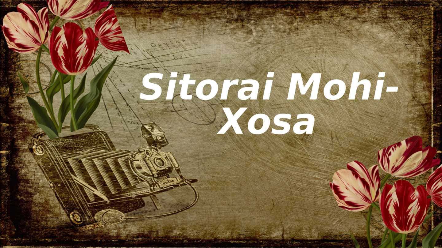Buxoro Sitorai mohi hosa