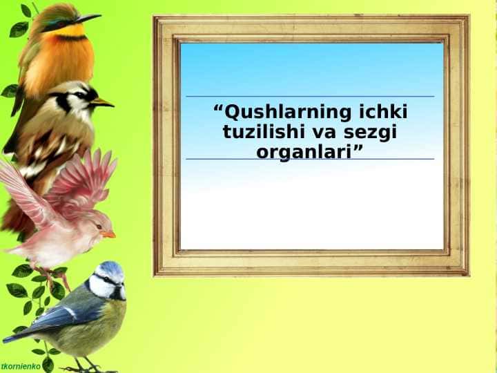 Qushlarning ichki tuzilishi va sezgi organlari