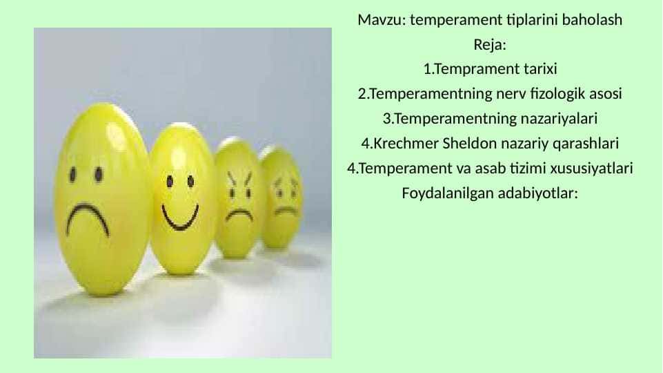 temperament tiplarini baholash 23.pptx