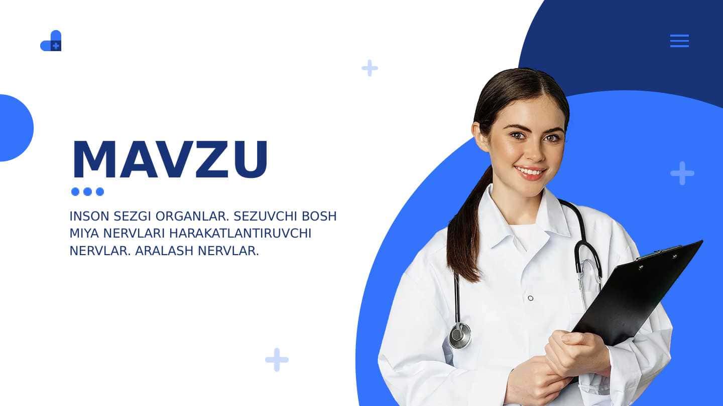 INSON SEZGI ORGANLAR. SEZUVCHI BOSH MIYA NERVLARI HARAKATLANTIRUVCHI NERVLAR. ARALASH NERVLAR.