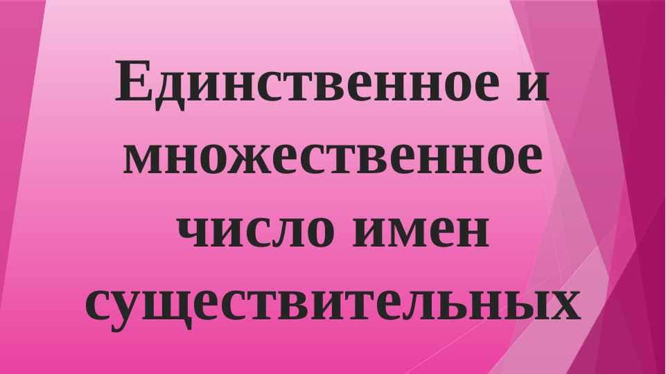 Единственное и множественное число имен существительных