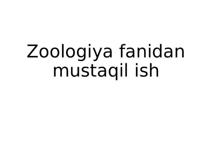 Zoologiya fanidan mustaqil ish pptx