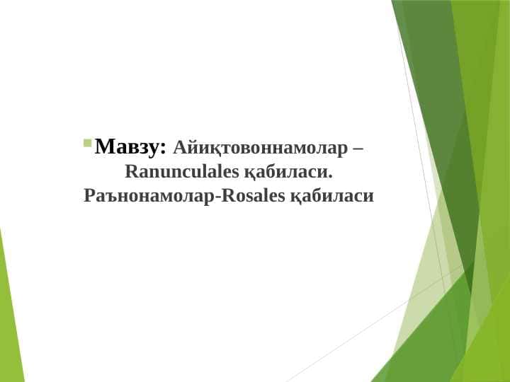 Айиқтовоннамолар –Ranunculales қабиласи. Раънонамолар-Rosales қабиласи