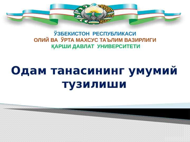 Одам танасининг умумий тузилиши