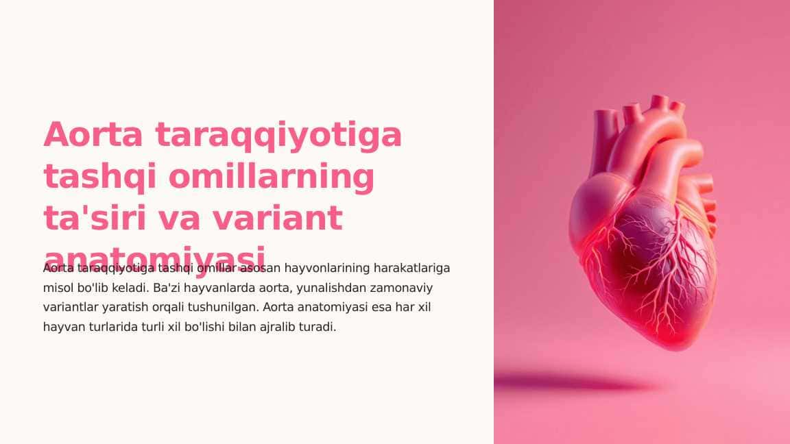 Aorta taraqqiyotiga tashqi omillarning ta'siri va variant anatomiyasi