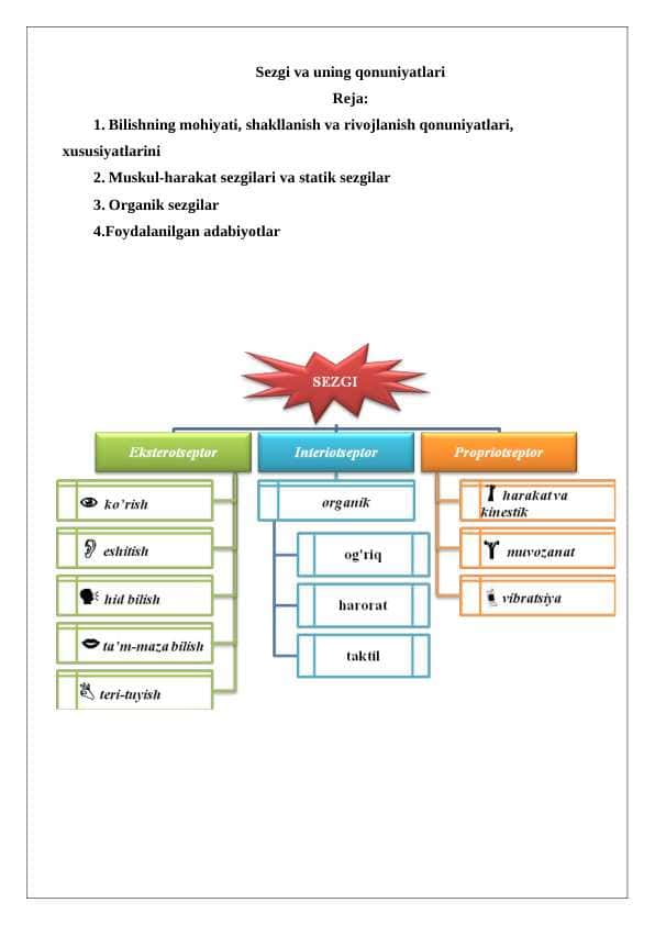 Sezgi haqida umumiy tushuncha. Sezgi turlari va qonuniyatlari