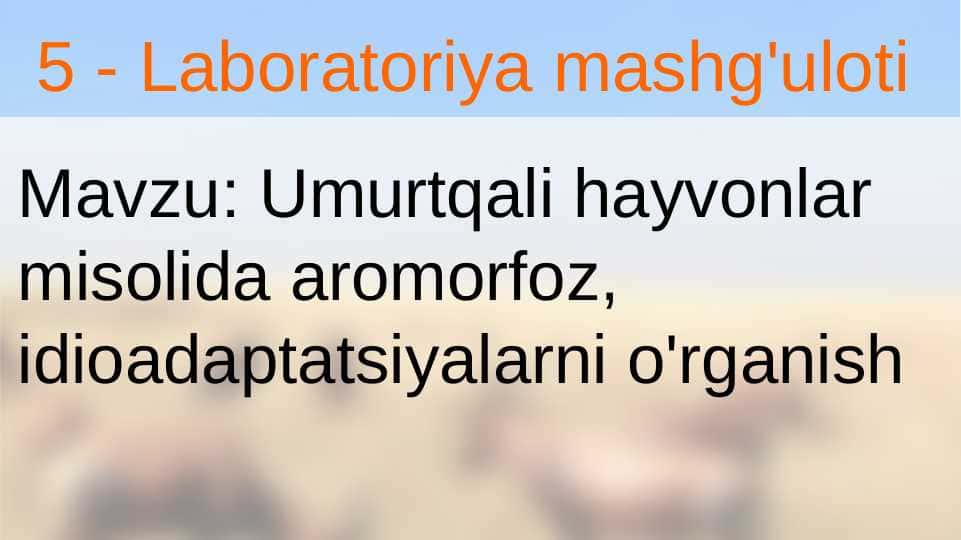 Umurtqali hayvonlar misolida aromorfoz, idioadaptatsiyalarni o'rganish