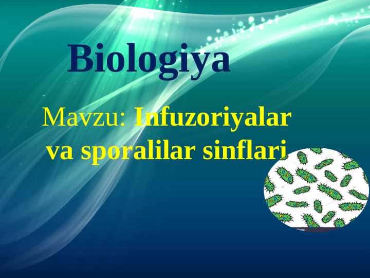 Infuzoriyalar va sporalilar sinflari