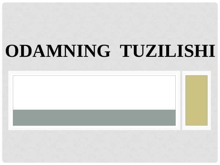 ODAMNING TUZILISHI..