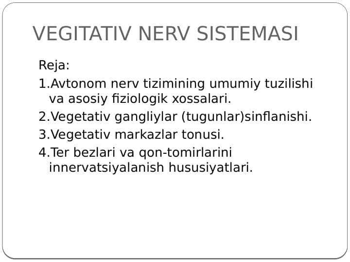 VEGITATIV NERV SISTEMASI