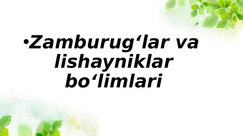 Zamburug‘lar va lishayniklar bo‘limlari
