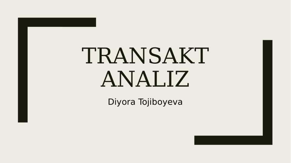 Transakt analiz