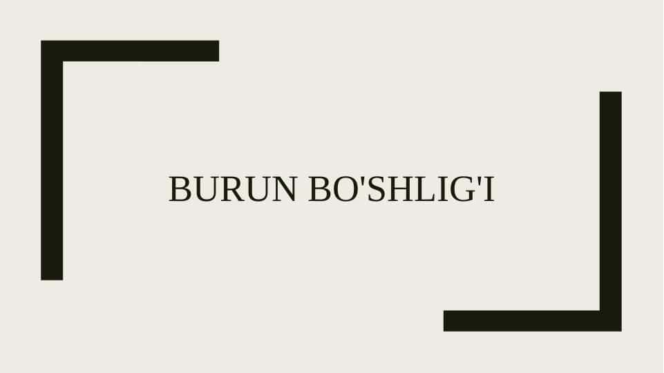 Burun bo'shlig'i
