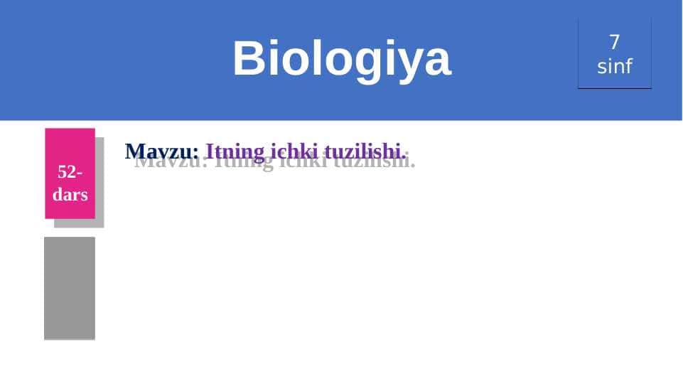 Itning ichki tuzilishi