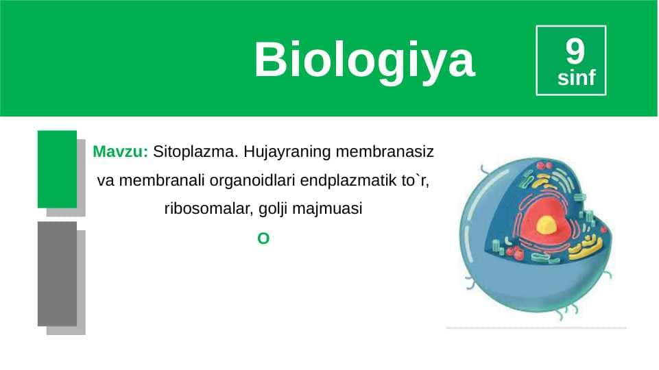 Sitoplazma. Hujayraning membranasiz va membranali organoidlari endplazmatik to`r, ribosomalar, golji majmuasi