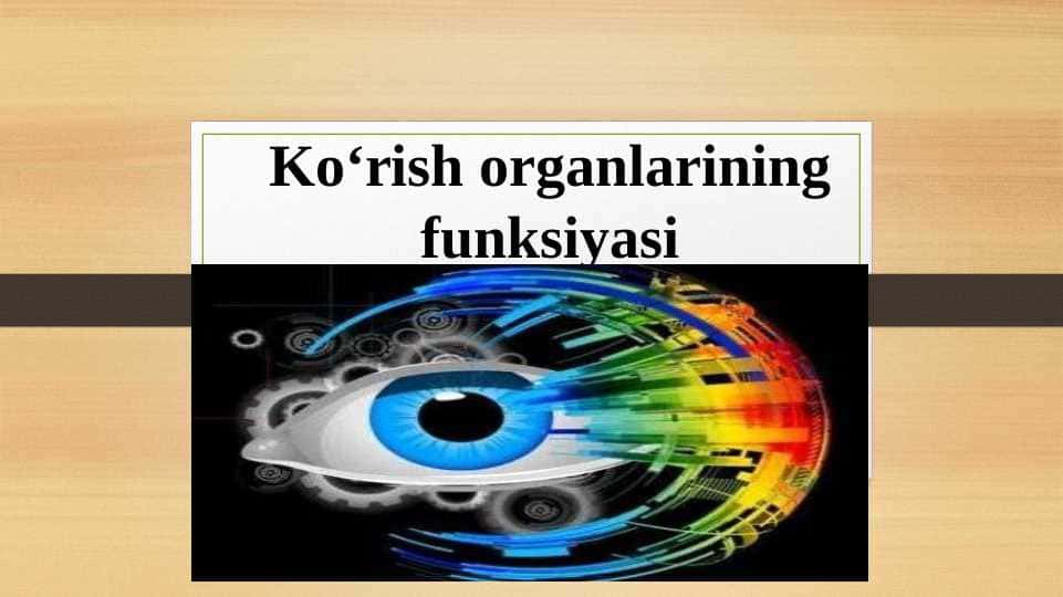 Ko‘rish organlarining funksiyasi