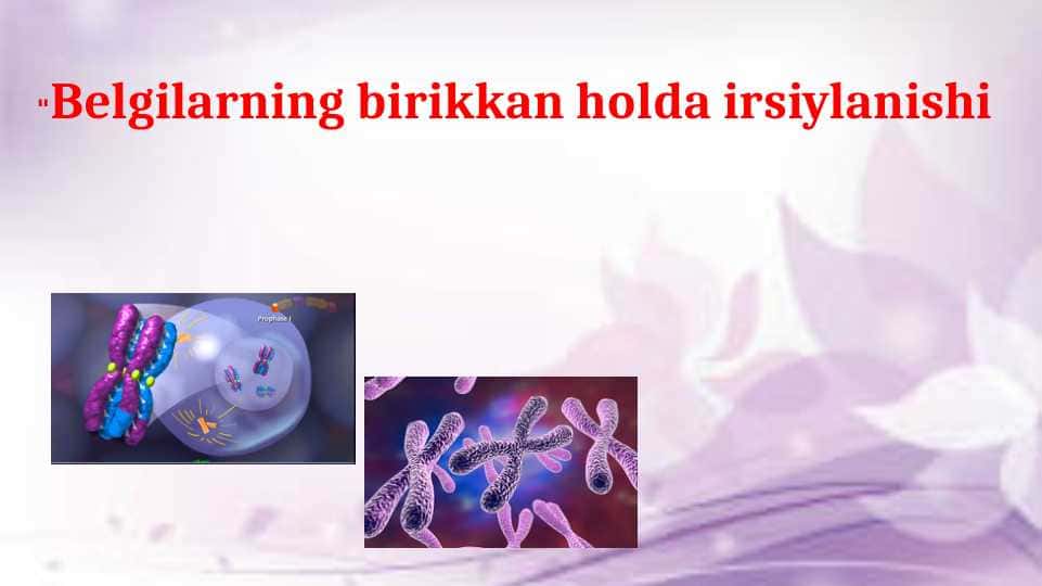 Belgilarning birikkan holda irsiylanishi