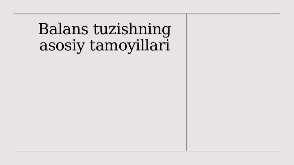 Balans tuzishning asosiy tamoyillari