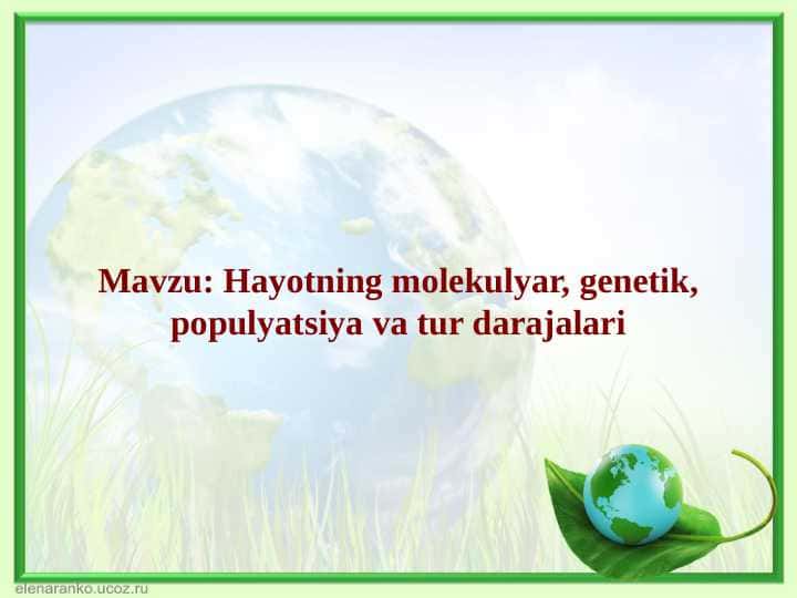 Hayotning molekulyar, genetik, populyatsiya va tur darajalari