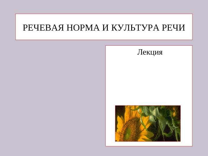 РЕЧЕВАЯ НОРМА И КУЛЬТУРА РЕЧИ