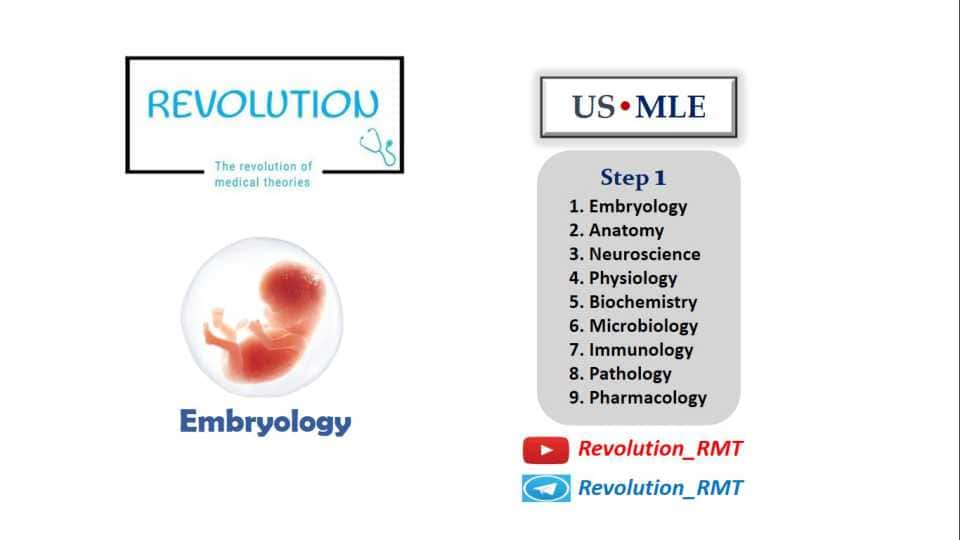 Introduction embryology