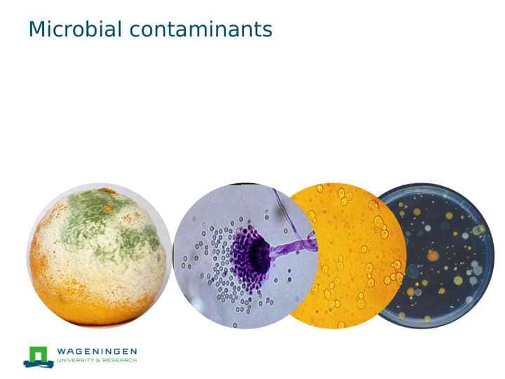 Microbial contaminants