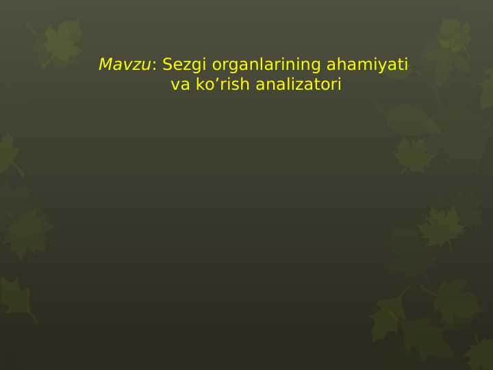 Sezgi organlarining ahamiyati va ko’rish analizatori