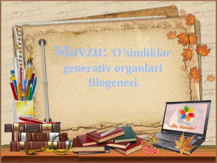 O’simliklar generativ organlari filogenezi