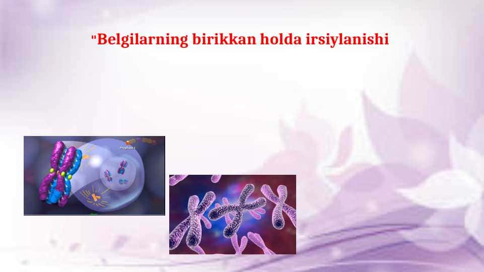 Belgilarning birikkan holda irsiylanishi
