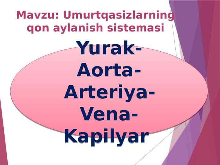Umurtqasizlarning qon aylanish sistemasi