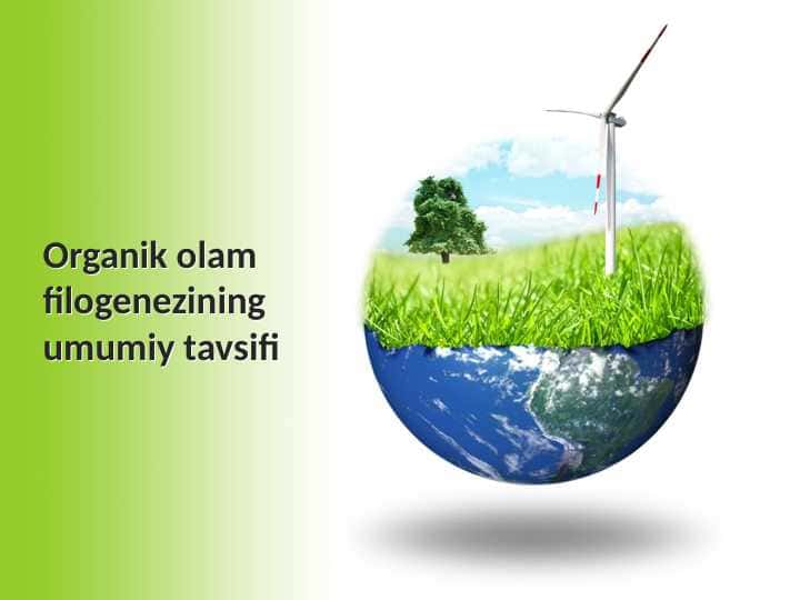 Organik olam filogenezining umumiy tavsifi