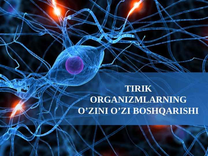Tirik organizmlarning o'zini o'zi boshqarishi