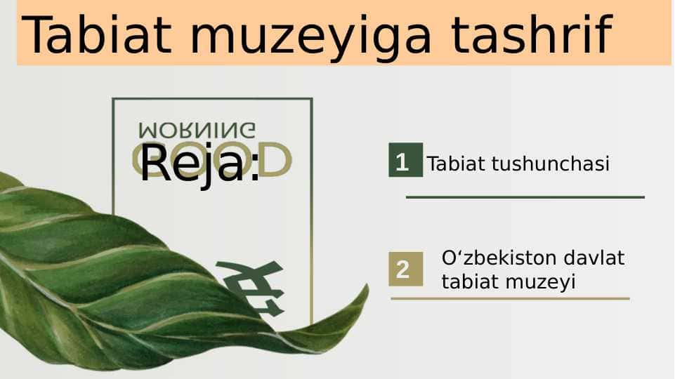 Tabiat muzeyiga tashrif