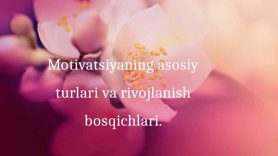 Motivatsiyaning asosiy turlari va rivojlanish bosqichlari