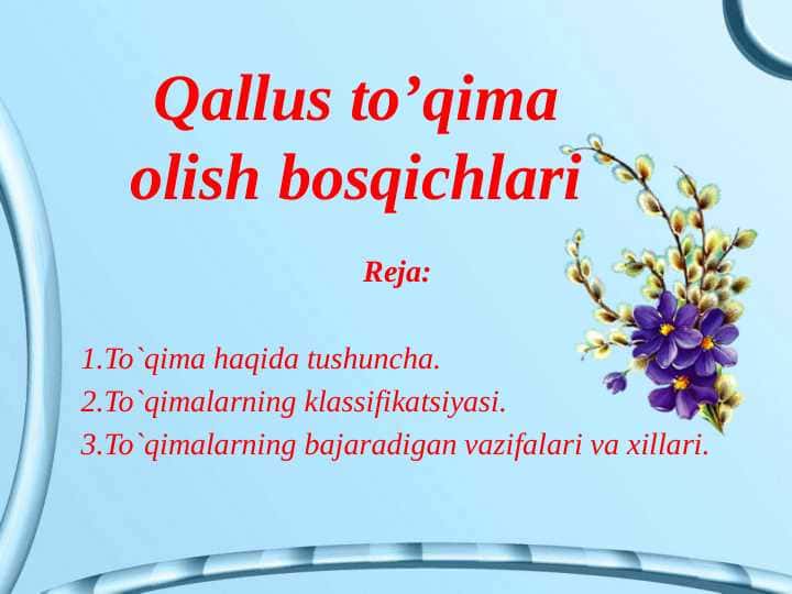 Qallus to’qima olish bosqichlari